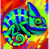 chameleon