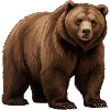 Brown bear graphic in nature style