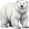 Polar Bear Illustration Grayscale