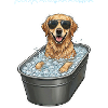 Eisbaden Hund Polar