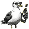 Seagull Beer Coast