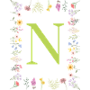 Floral Initials " N ", Letters Monogram