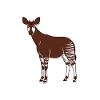 Okapi-liebhaber Okapi-tier Seltene Tierweltliebe