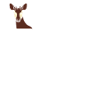 Okapi-liebhaber Okapi-tier Seltene Tierweltliebe