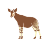 Okapi-liebhaber Okapi-tier Seltene Tierweltliebe