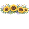 Christian Sunflower Faith Prays Jesus