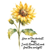 Christian Sunflower Faith Prays Jesus