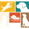 Labrador Retriever Father Dog Lover