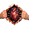 Heart through bursting casing