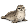 Seal Cartoon Cute Animal Pattern