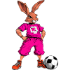 Hasen Fussball Pink
