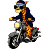 Motorcycle Giraffes