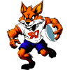 Füchse Rugby / Football