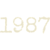 1987 Birthday Gift - Awesome since 1987