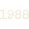 1988 Birthday Gift - Awesome since 1988