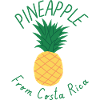 Costa Rica Pineapple Shirt Tropical Summer