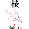 Sakura – Japanische Kirschblüte | Torii Apparel