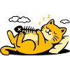 Sleeping cat cosiness