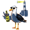 Bière Cool Seagull Lighthouse