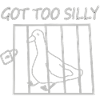 Pigeon in a cage – So silly