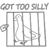 Got Too Silly Pigeon in Cage