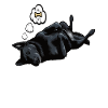 Feeling Dog Tired Black Shepherd Owner