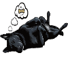 Hundemüde Schwarzer Schäferhund Schäferhundhalter