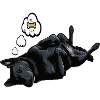Black Shepherd Owner