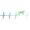 horse heartbeat riding dressage