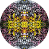 Nature Mandala Spring in City Park