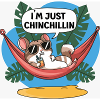 Chinchillin Hamac Tropical Chill