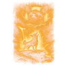 Chihuahua, Moon