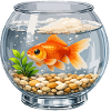 Goldfish in Glass Vase Art