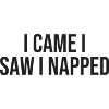I Came I Saw I Napped