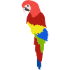 Bunter Papagei Tropischer Dschungelvogel