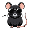 Raccoon chic sunglasses