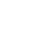 REMOVE BEFORE FLIGHT