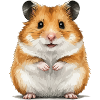 Hamster Tier
