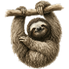 Sloth on a branch – cozy sloth