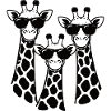 Giraffe Trio with Sunglasses