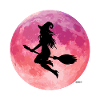 Pink Moon Night Flight Silhouette