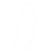 Penguins Men Kids Boys Penguin