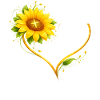 Inspirational Christian Sunflowers Jesus