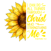 Inspirational Christian Sunflowers Jesus