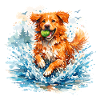 Toller im Sprung: Akwarelowy Kaczkowy Toling Retriever