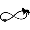 Australian Shepherd Heart Infinity