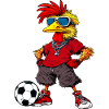 Soccer Chicken