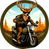 Cerf, motard, motard, cerf