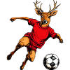 Soccer Hirsch