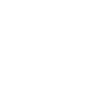 Falcon Head